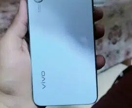 Vivo S1