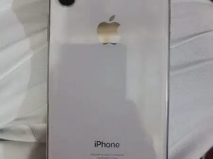 iPhone X non pta 256