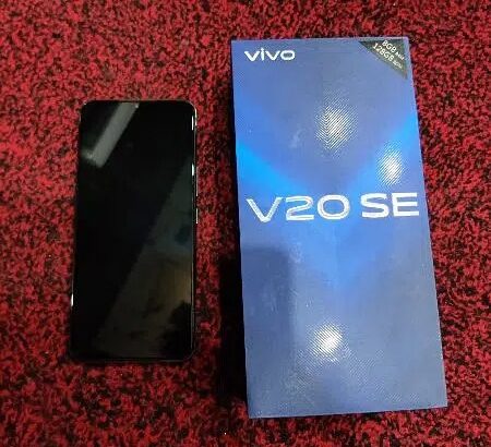 Vivo v20se