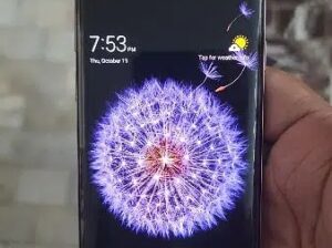 Galaxy S9+ plus