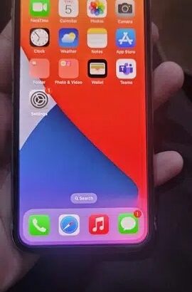 iPhone X 256GB