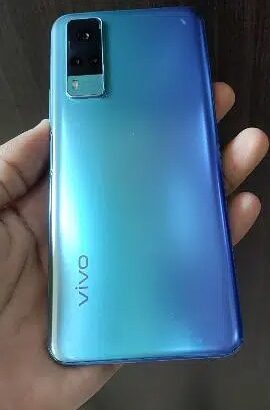 Vivo y31