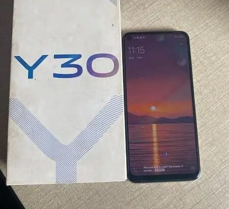 Vivo y30