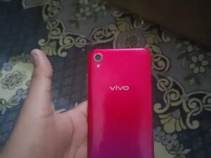 Vivo 1823