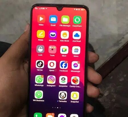 Vivo S1