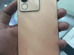 Vivo v29e