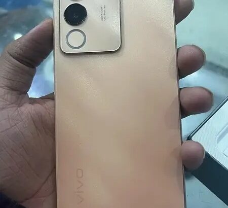 Vivo v29e