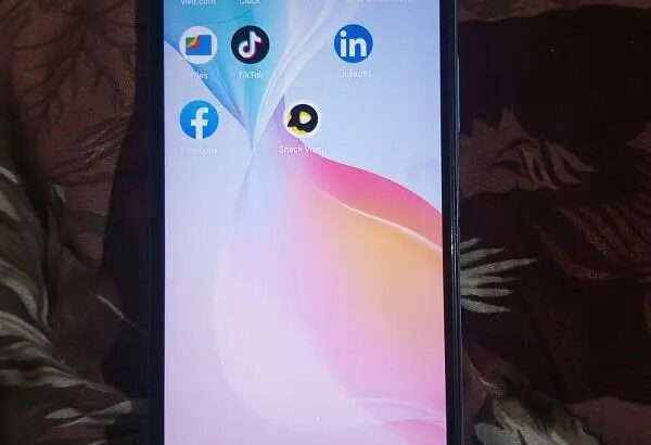 Vivo Y33s