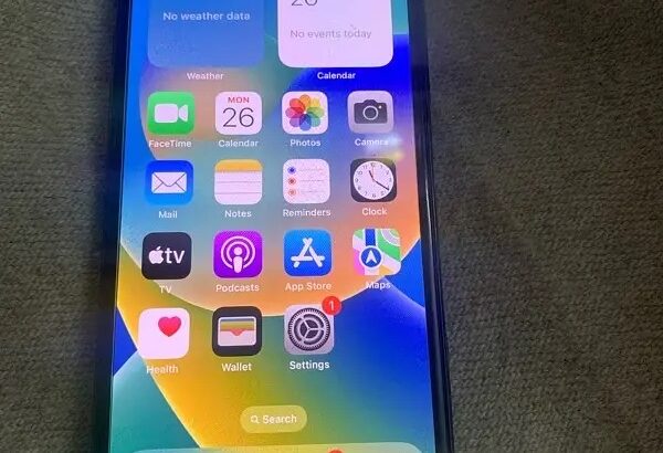 iphone X