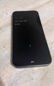 Google Pixel 9 Pro XL - photo 3
