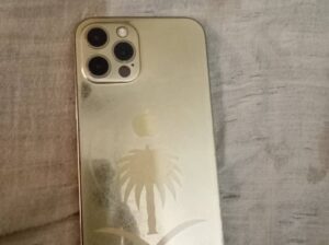 Apple iPhone 12 Pro