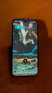 Google Pixel 9 Pro XL - photo 1