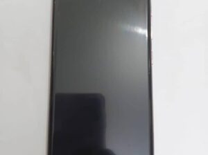 Samsung Galaxy S22 Ultra –