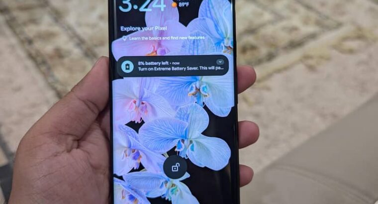 Google Pixel 6 Pro Approved