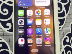 Apple iPhone 16 Pro Max
