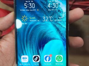 Vivo S1