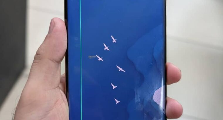 Google Pixel 6 Pro
