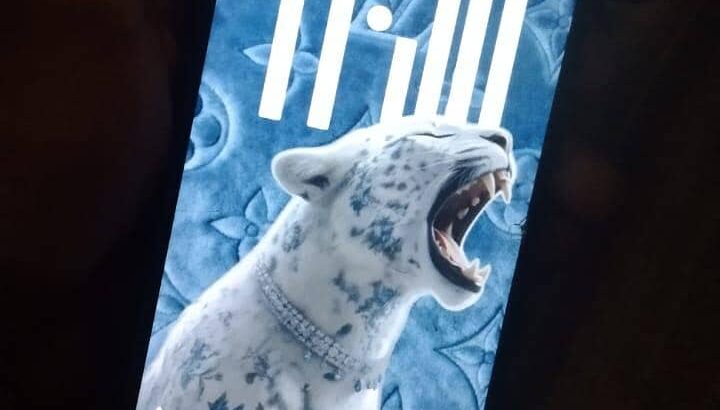 Vivo Y03 exchange possible