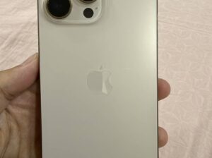 Apple iPhone 16 Pro Max