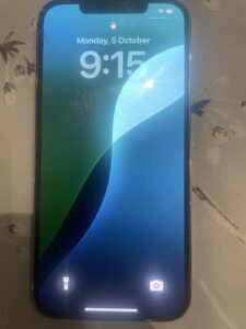 Apple iPhone 12 Pro Max - photo 1