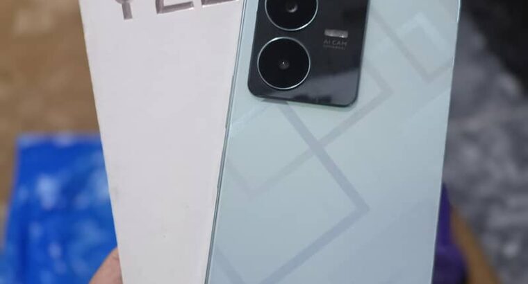 Vivo Y22 AMOLED Display