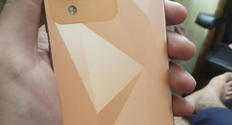Vivo Y17s