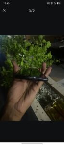 Tecno CAMON 30S - photo 5