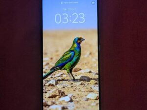 Vivo V50 Lite