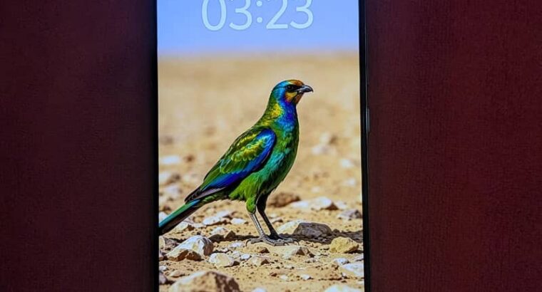 Vivo V50 Lite