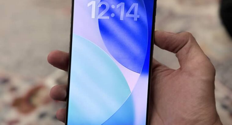 Apple iPhone 15 Pro Max