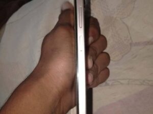 vivo 04