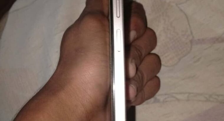 vivo 04