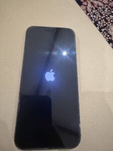 Apple iPhone 16 Pro Max - photo 5