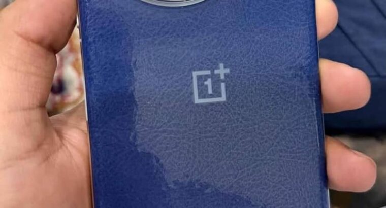 One Plus 13