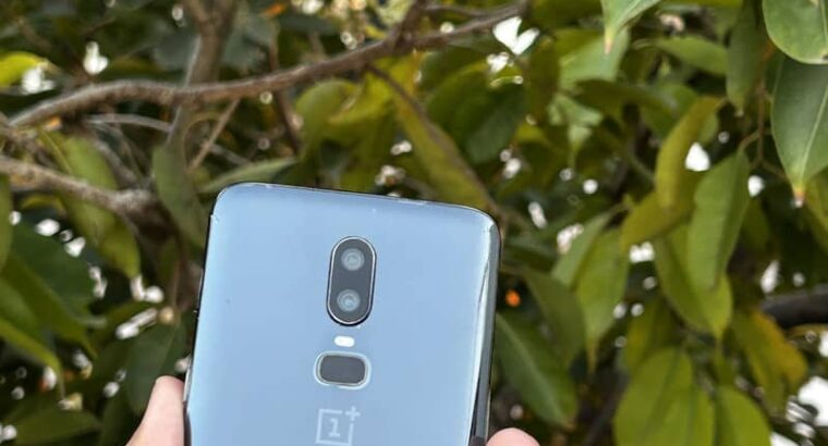 One Plus 6