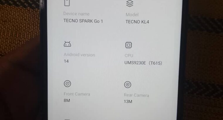 Tecno Spark Go