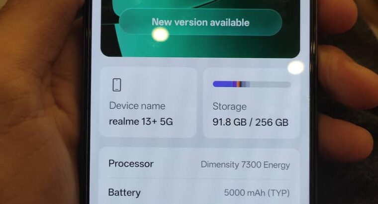 Realme 13 Plus