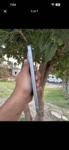 Apple iPhone 15 plus - photo 5